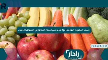 «سعر البطيخ» اليوم يتراجع! تعرف على أسعار الفواكه في الأسواق الأربعاء